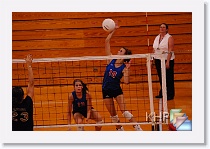 vs Hayden * (299 Slides)